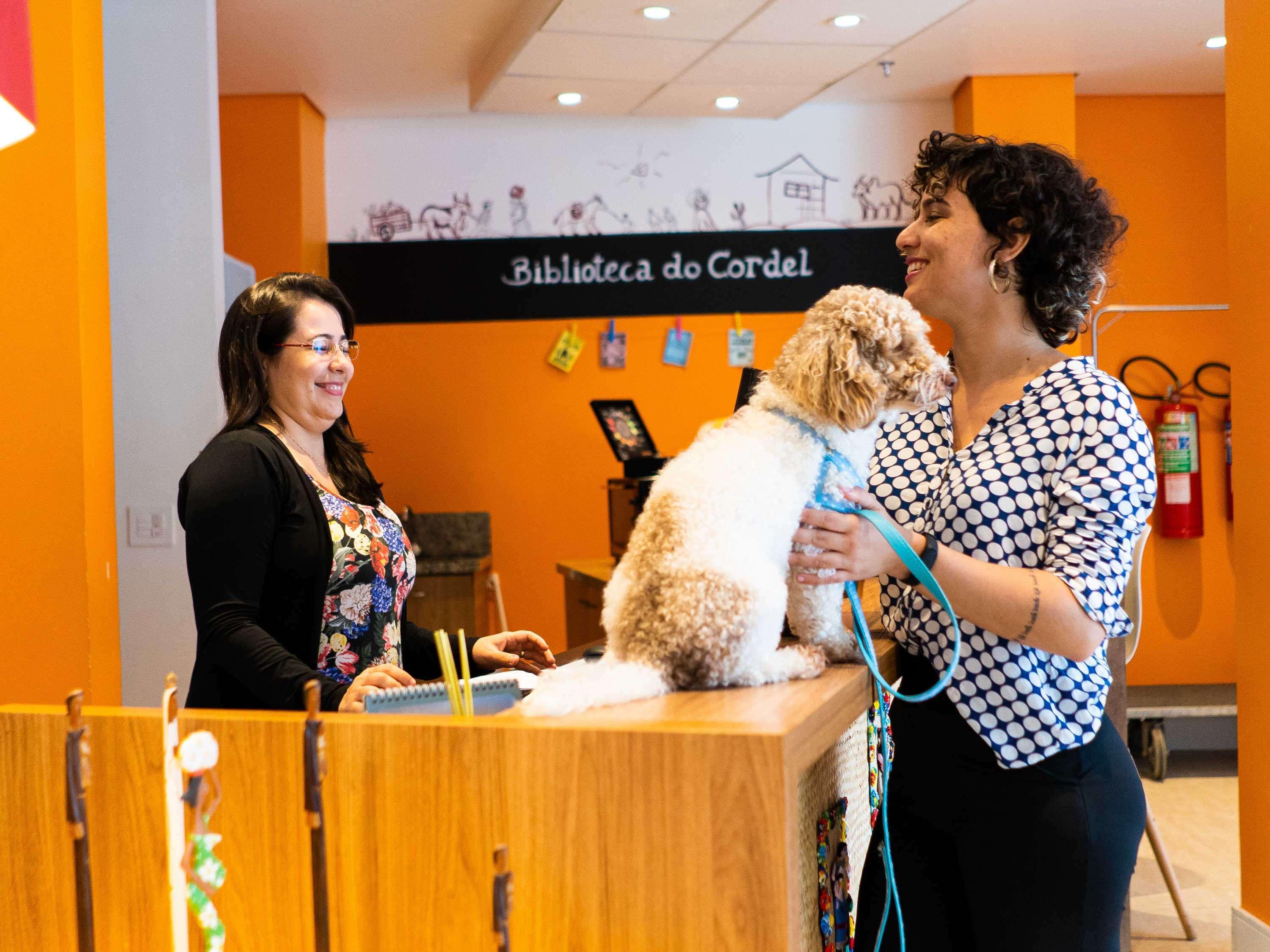 מלון Ibis Styles קמפינה גראנדה מראה חיצוני תמונה